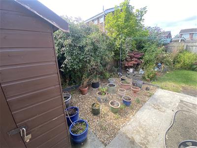 Picture 16